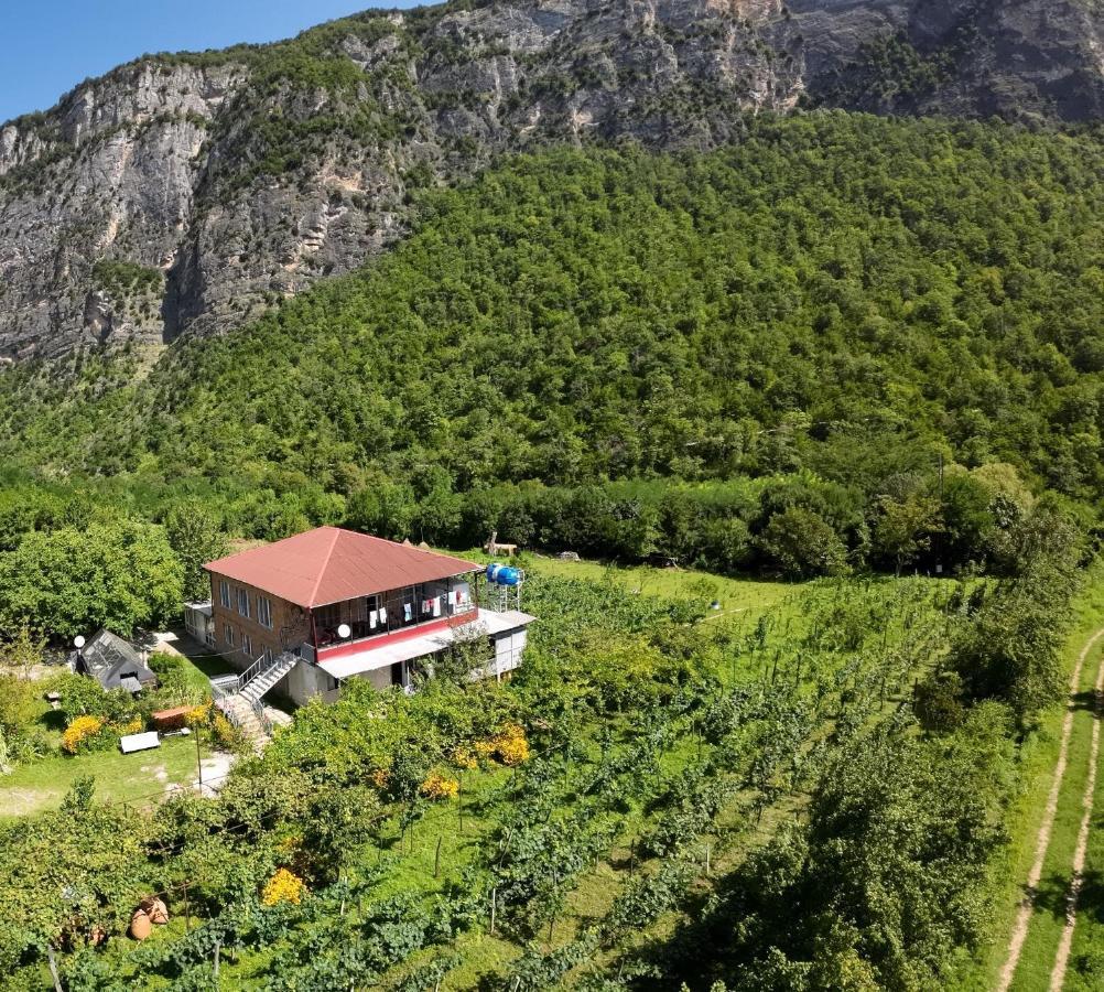 Guest House Oasis - Tvishi Kültér fotó